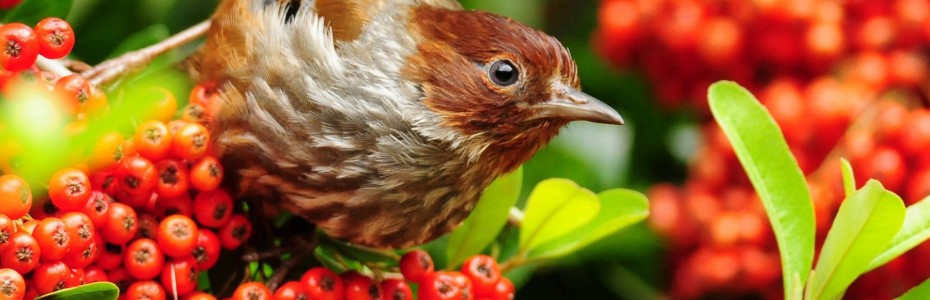 This is default featured slide 3 title